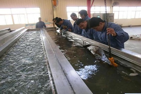 雷士超声纵梁清洗现场.jpg